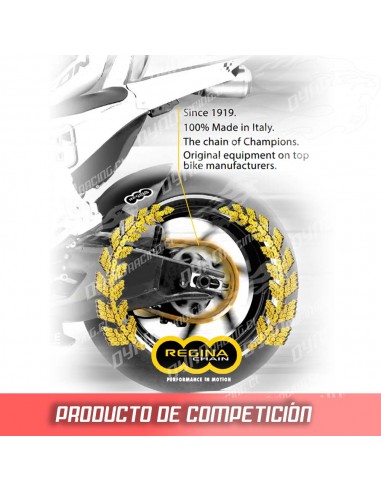 CADENA REGINA 525 - 120 NEGRA, CON...