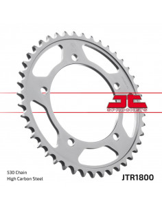 CATALINA SUZUKI HAYABUSA -...