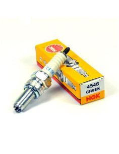 BUJIA NGK CR9EK