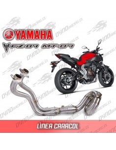 LINEA DE ESCAPE CARACOL... 2