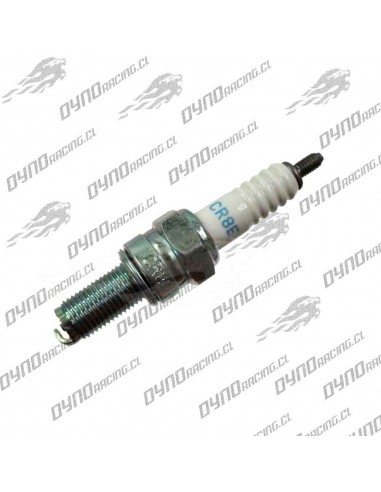 BUJIA NGK CR8E (EEUU)