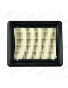 FILTRO DE AIRE DUKE 200/390... 2